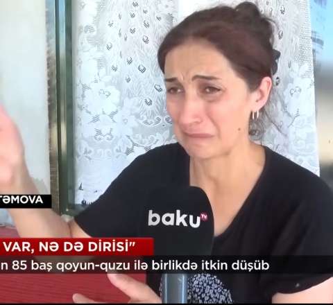 Salyanda itkin düşən çobanın anası dəhşətli təfərrüatı AÇIQLADI: Heyvanlar Bakıda satışa çıxarılıb? -  VİDEO