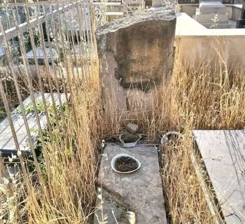 Tanınmış rəssamın məzarı acınacaqlı durumda –  Nazirlikdən açıqlama - FOTO