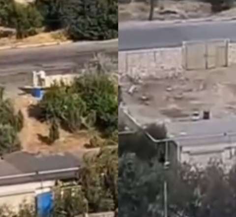 Bakıda daha bir ərazidə ağaclar KƏSİLDİ - VİDEO
