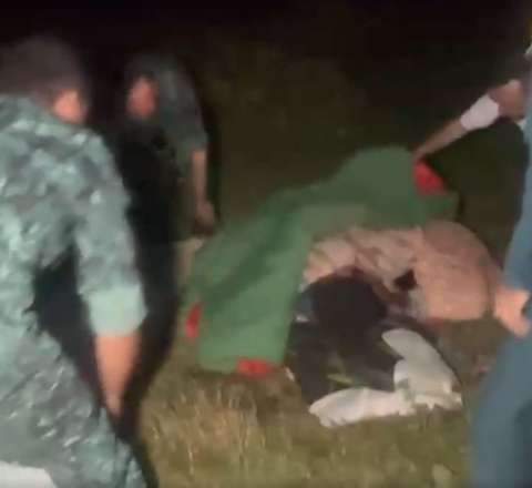 Şəkidə itlər niderlandlı qadını ağır yaraladı – Xilasetmə üçün helikopter qaldırıldı - FOTO