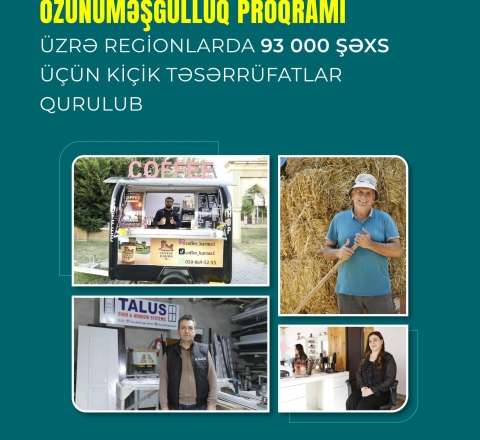 Özünüməşğulluq proqramı üzrə regionlarda 93 min şəxs üçün kiçik təsərrüfatlar qurulub 