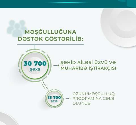 30700 şəxsin məşğulluğuna dəstək göstərildi 