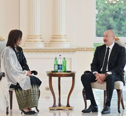 Prezident xanım səfiri qəbul etdi  - FOTO