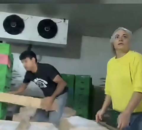Bakıda mənşəyi bilinməyən toyuqlar satılır -  AQTA araşdırmaya başladı - GÖRÜNTÜLƏR