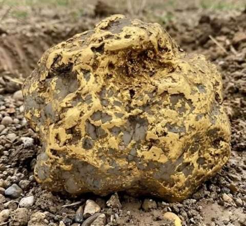 9 kiloqramlıq qızıl külçə tapdı - 750 min dollara satıldı 