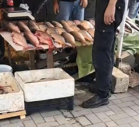 "20 Yanvar"da üfunət iyi sakinləri bezdirdi:  "Qanlı balıqlar, antisanitariya... Dəhşətdir!" - VİDEO