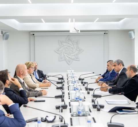 Beynəlxalq və xarici ölkələrin milli paralimpiya komitələrinin nümayəndə heyəti ilə görüş oldu 