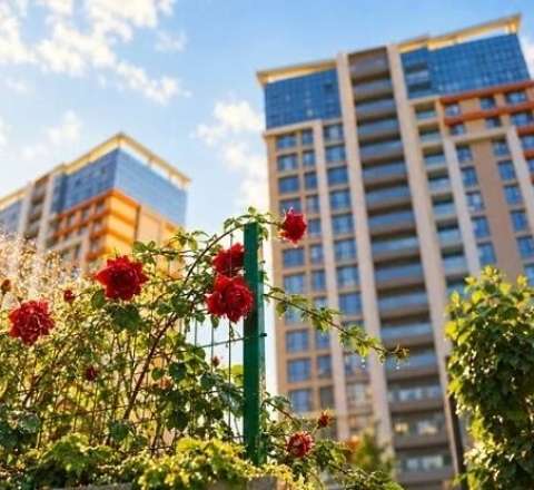 City Garden Narimanov-da təməldən mənzil satışları – Faizsiz kredit! 
