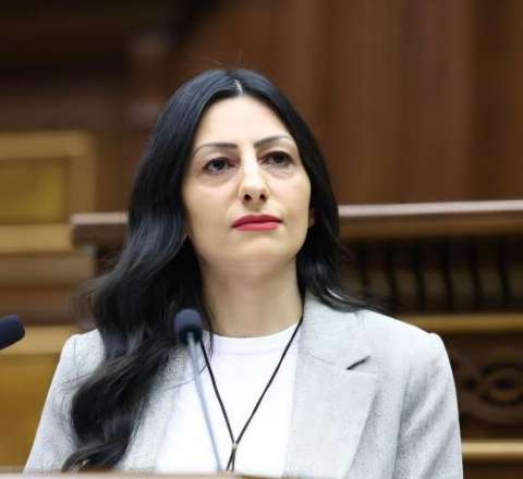 Manasyan “türk” sözünün təhqir kimi işlədilməsinə  ETİRAZ ETDİ