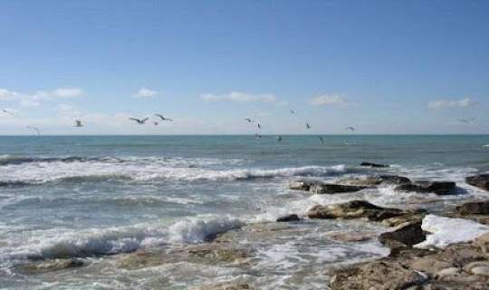 Xəzərin səviyyəsi 21 metr azala bilər 