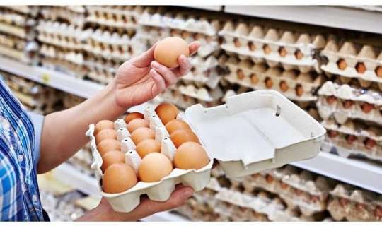 Yumurta ucuzlaşacaq - Bu tarixdən