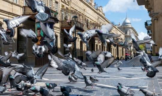 Sabahın havası - 22 dərəcə isti... 