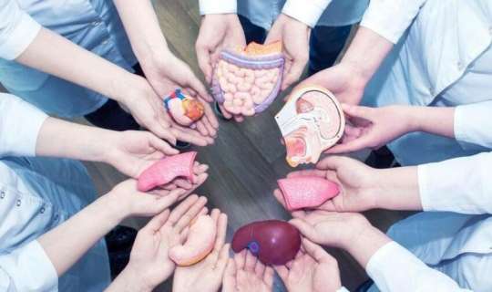 Azərbaycanda orqanlarını bağışlayanların    sayı 1200-ü keçdi