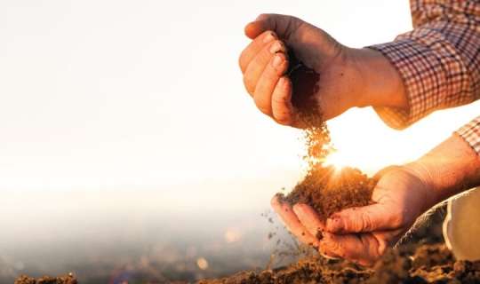 Qanunsuz torpaq ələ keçirənlər cəzalanacaq 