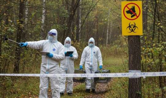 Rusiyada daha bir regionda quduzluğa görə – Karantin 