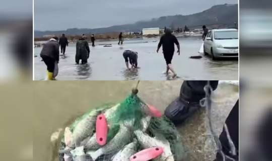 Bakıda göl daşdı: İnsanlar əllə balıq tutmağa getdi - VİDEO