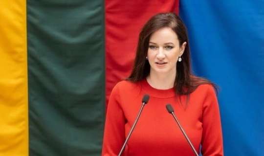 Litva baş naziri Azərbaycana gəldi 