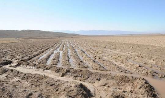 Yağışlar əkinləri yuyub apardı:  Bazarlarda bahalaşma başlayacaq?