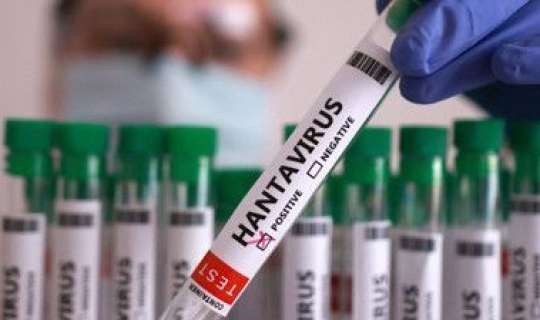 Hantavirusla bağlı qorxunc iddia:  İllərlə evdən çıxa bilməyəcəyik