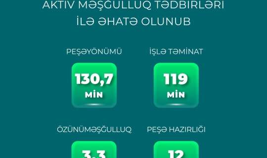 Yanvar-avqust aylarında 265 min şəxs aktiv məşğulluq tədbirləri ilə əhatə olunub 