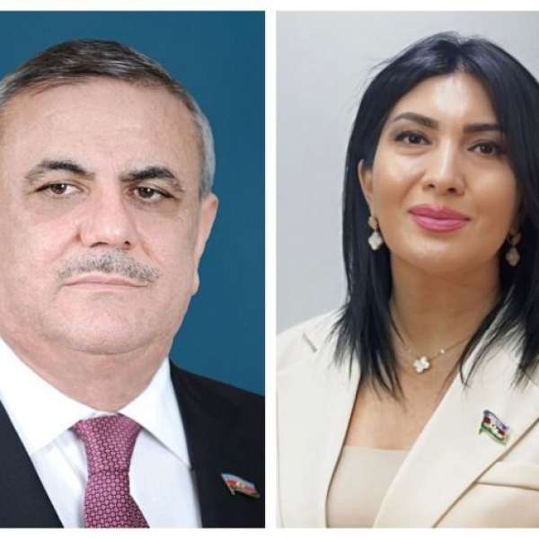 Varlıqla yoxluq arasında: ömür labirint kimi - Elnarə AKİMOVA 