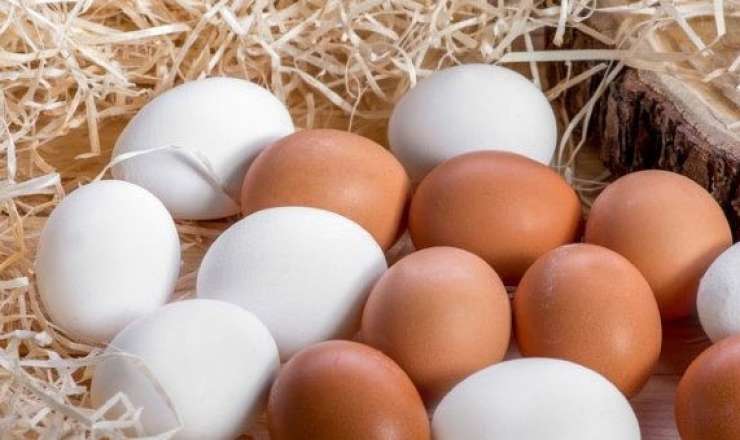 Azərbaycanda kənd yumurtasının qiyməti kəskin artdı 