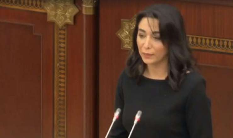 Ombudsmandan İranın Naxçıvana dron hücumu ilə bağlı -  BƏYANAT