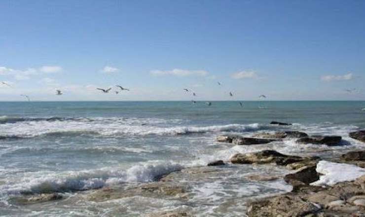 Xəzərin səviyyəsi 21 metr azala bilər 