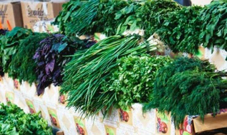 Onlarda 7 manat, bizdə isə 20 qəpik - FOTO