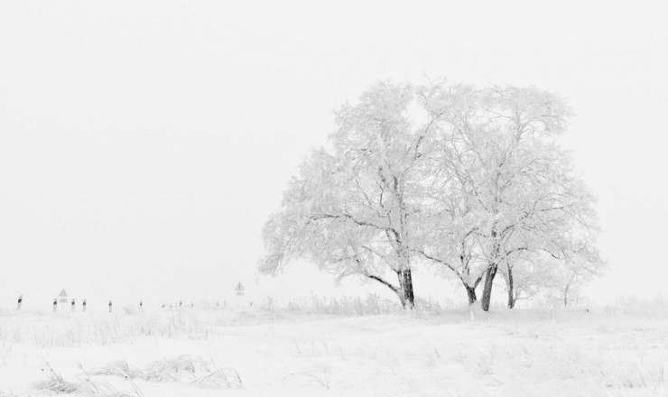 Şiddətli soyuqlar: Avropanın bu ölkəsində soyuqdan 3 nəfər öldü 