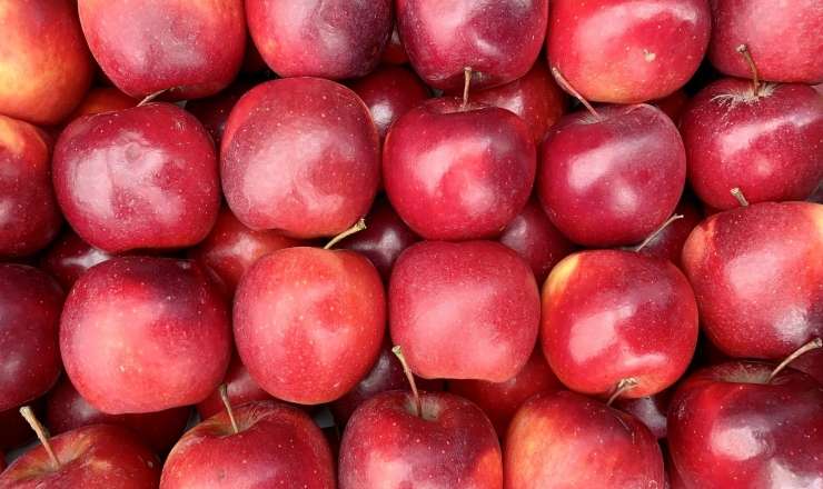 İlkin Həsənovun 163,4 ton alması MƏHV EDİLƏCƏK 