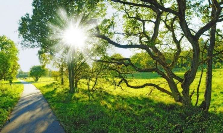 Sabahın havası açıqlanıb 