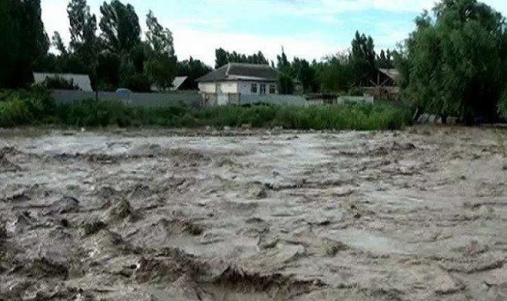 Bayram qonaqlığına gedən ana və oğlunu sel apardı 
