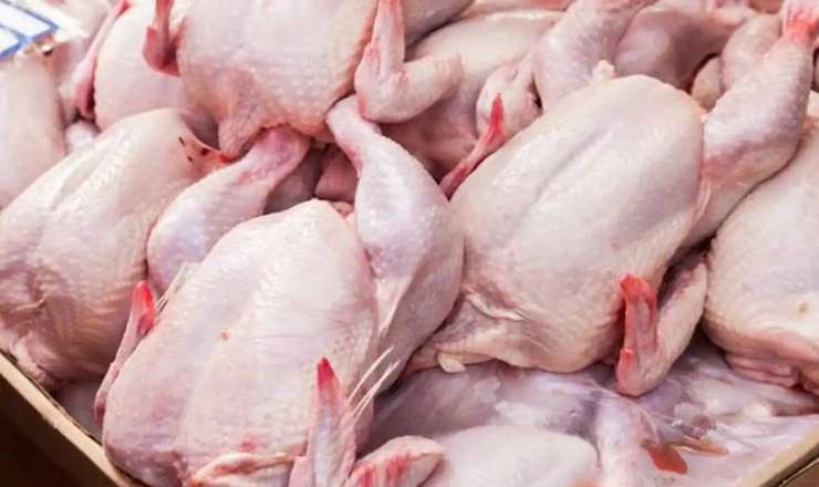 Bu toyuq məhsulunda bakterial infeksiya aşkarlandı - FOTO