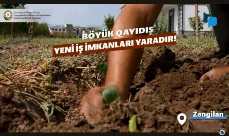 “Böyük Qayıdış” yeni iş imkanları yaradır  - VİDEO