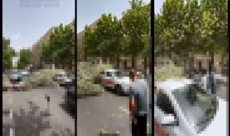 Bakıda güclü külək ağacı taksinin üzərinə aşırdı - VİDEO