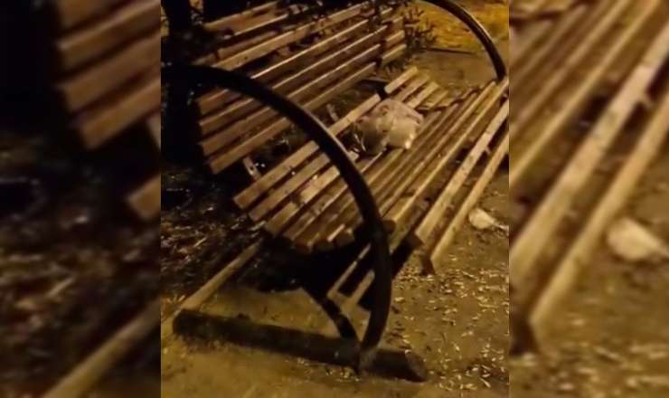 Pis qoxu, tullantılar və laqeydlik - Hövsan parkında dözülməz vəziyyət - VİDEO 