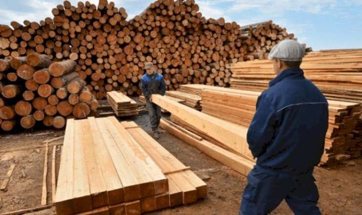 Tikinti materialları alanlara xəbərdarlıq 