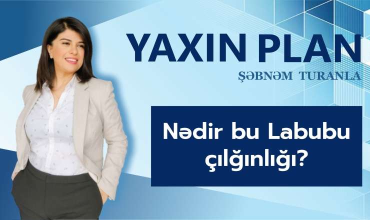 Niyə hamı Labubu almaq istəyir? - Duyğulara və cibə işləyən oyuncaqlar - VİDEO