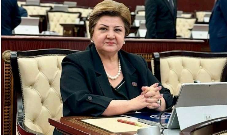 Hədəf İsrail üzərindən Azərbaycan-Türkiyə qardaşlığıdır - Tənzilə Rüstəmxanlının yazısı 