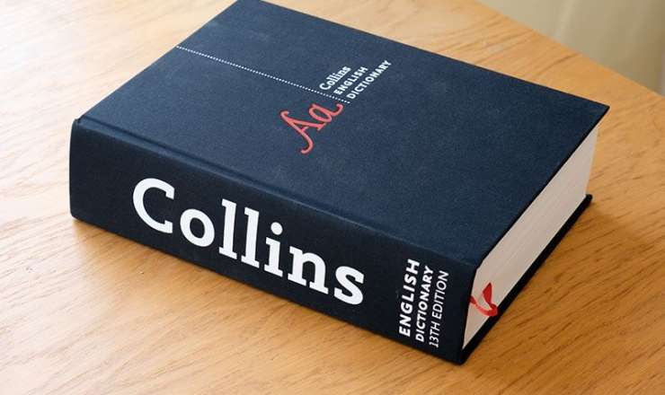 2025-ci ilin sözü açıqlandı – “Vibe Coding” nə deməkdir? 