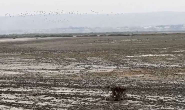 Ən böyük göllərimizdən biri təhlükədə – Demək olar ki, quruyub – VİDEO 