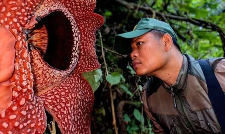 Bioloqlar bu çiçəyi tapmaq üçün düz 13 il meşələrdə gəzdilər - VİDEO 