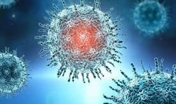 Hazırda dominant qrip Honkonq qripidir  – ÜST