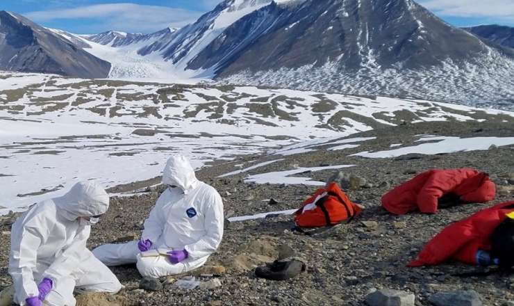 Yeni pandemiya:  Vəhşi heyvanlar insan məskənlərinə yaxınlaşacaq 