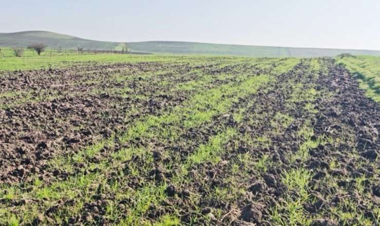 Yeni dəyişiklik kiçik təsərrüfatları sıradan çıxarmağa hesablanıb  – Ekspertdən etiraz