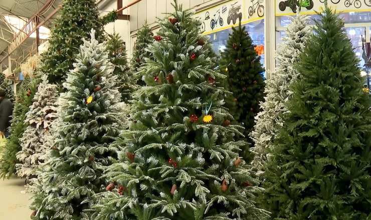 Bayram yolkaları və bəzək əşyaları niyə bahadır? - AÇIQLAMA 