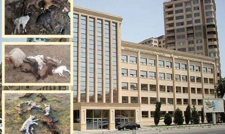 Nazirliyin 22 il gizlətdiyi cinayət - "Köməkçisinin kartına 3700 manat pul atdım" - VİDEO/FOTO 