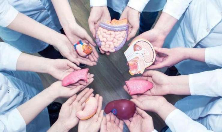 Azərbaycanda orqanlarını bağışlayanların    sayı 1200-ü keçdi