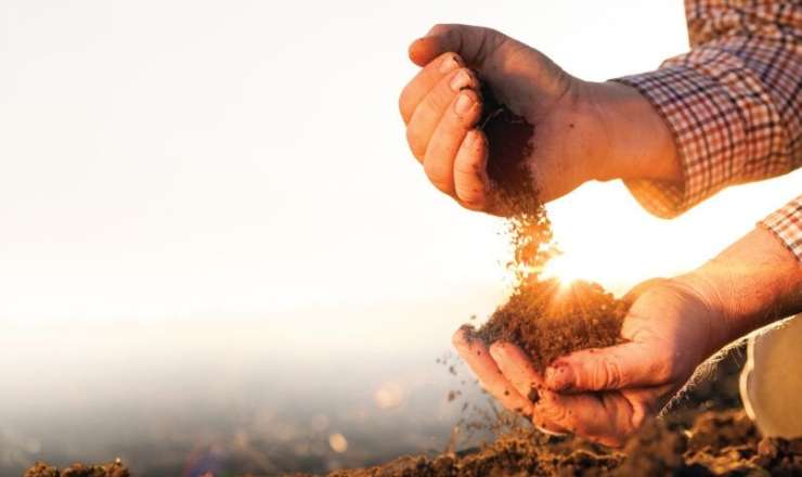 Qanunsuz torpaq ələ keçirənlər cəzalanacaq 